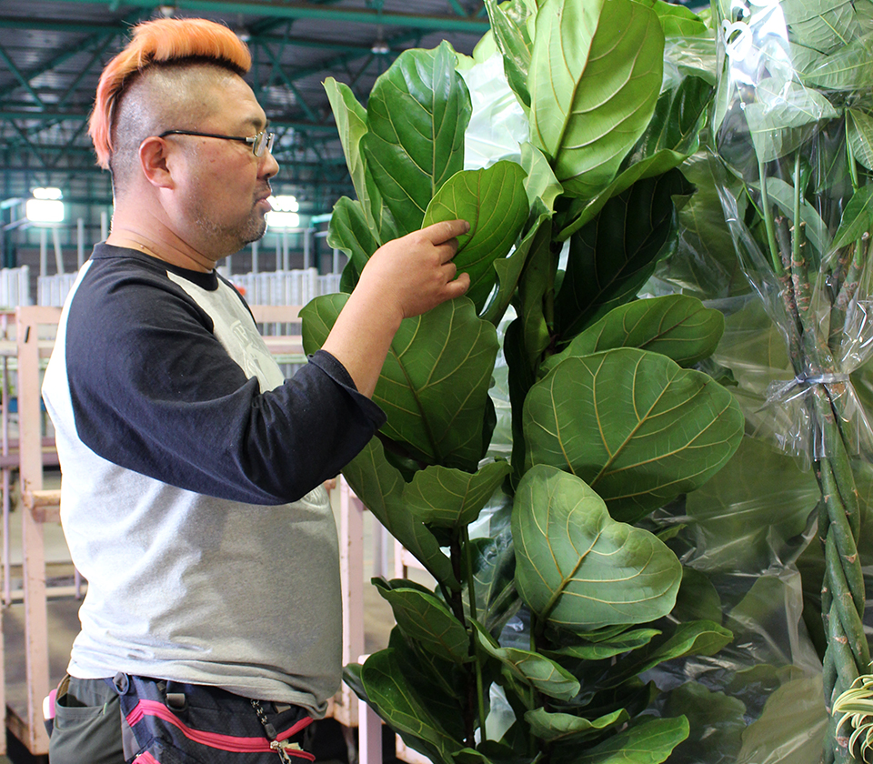 上質なサービスイメージ