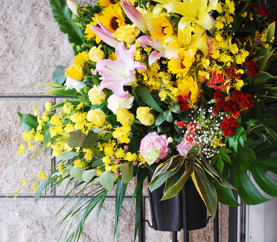 植物のレンタルギフトイメージ